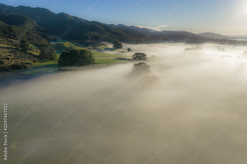 Naklejka premium Misty morning over rolling hills and farmland in the Carterton, Wellington region of New Zealand. The low-lying fog creates a serene and atmospheric landscape.