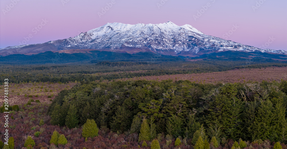 Fototapeta premium Mount Ruapehu, New Zealand. A majestic snow-capped volcano looms over a lush forest landscape at dawn, showcasing the natural beauty of Tongariro National Park.