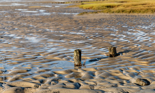 Fotografía Black-and-white photograph of the Wadden Sea at low tide in Sankt Peter-Ording