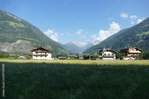 Prato Alpino