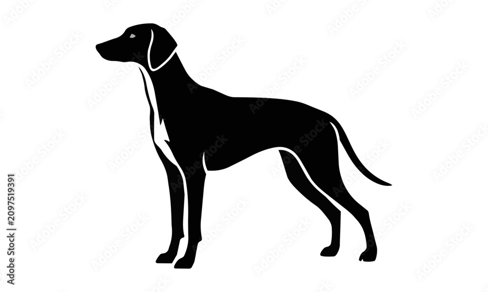 Fototapeta premium Minimalist profile of a graceful hunting dog in a sleek alert pose with bold black shapes and clean negative space on a solid white background canine concept