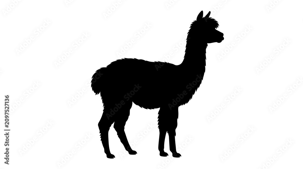 Fototapeta premium Llama Silhouette Against A White Background Minimalist Animal Shape
