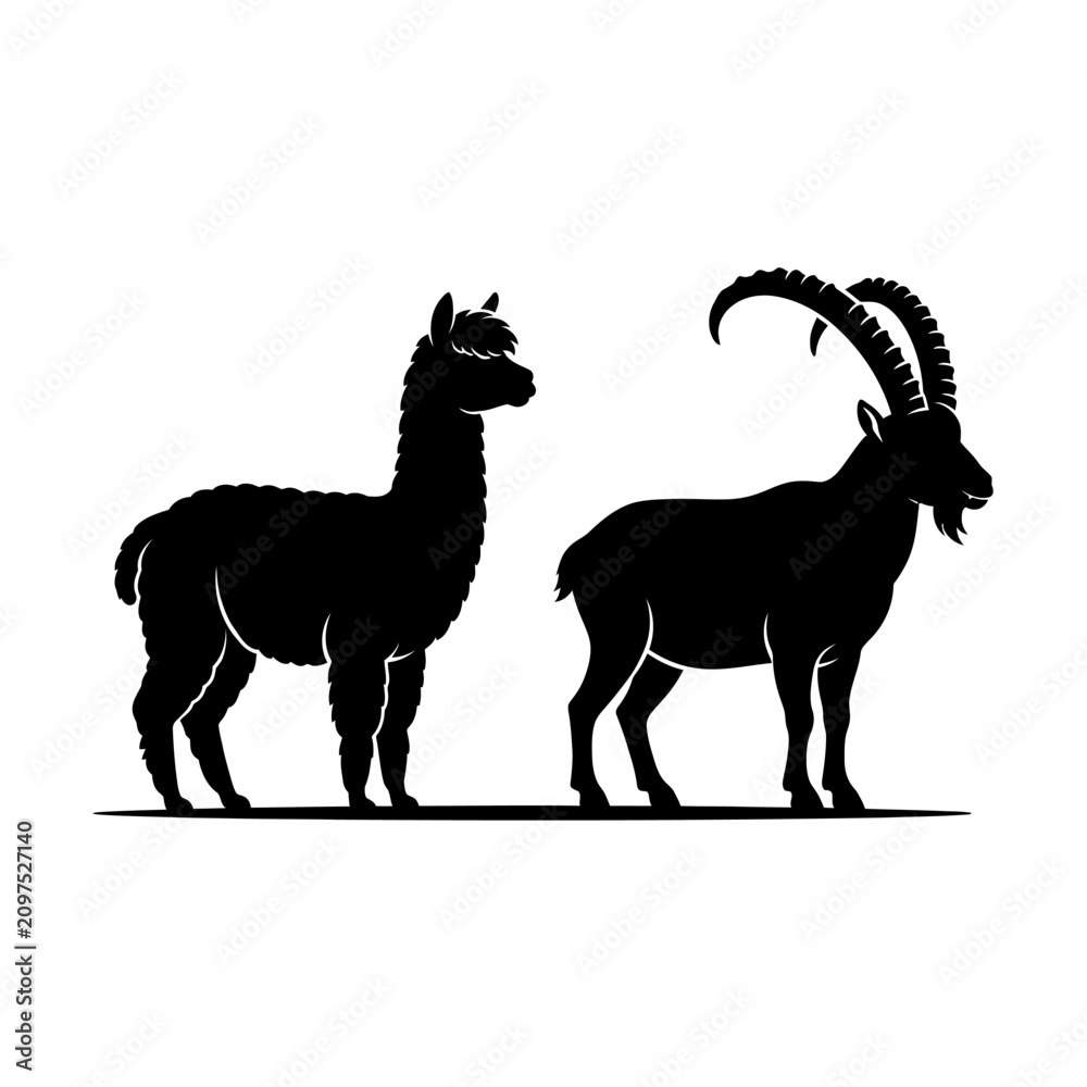 Fototapeta premium Llama And Ibex Silhouettes Against White Background