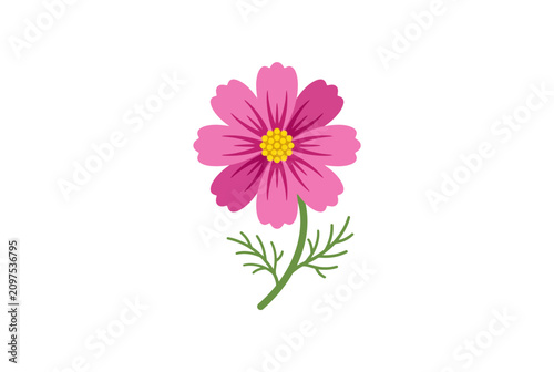 A single pink cosmos flower with a yellow center and green stem