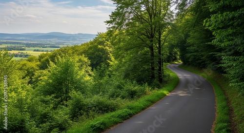Peaceful winding road surrounded by lush greenery under soft natural daylight creating serene countryside atmosphere
