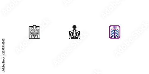 Quadro su tela Xray icon set showing chest rib cage human skeletal system anatomy in different art styles