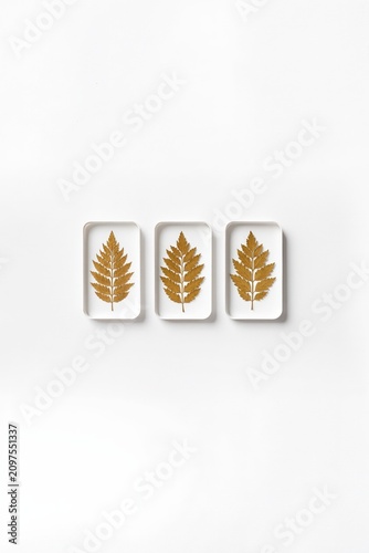 Three decorative plates with golden fern leaf patterns