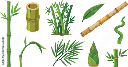 Foto Green and brown bamboo vector set with stalks stems branches leaves sprouts and