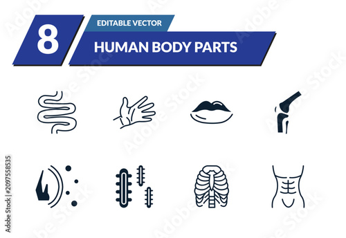 Tableau sur toile filled human body parts icons set - small intestine, hand showing palm, big lips, kneecap