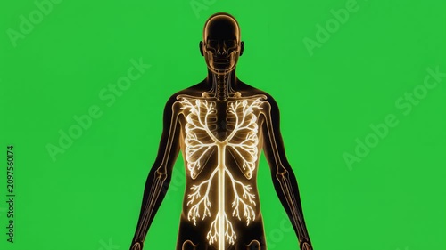 Glowing energy tree silhouette on green background