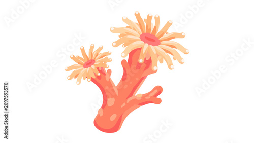 Tableau sur toile Orange coral or sea anemone style marine vector illustration