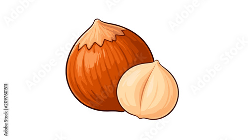 Fotografía Whole and shelled hazelnut isolated vector illustration