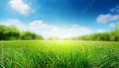 Sunny Spring Meadow Blur Background Blue Sky And Green Grass