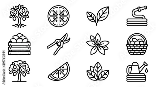Bild auf Leinwand Citrus Fruit Garden Icons: Lemon Tree, Slices, Leaves, Tools, Basket, Watering C