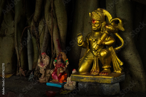 Golden Lord Hanuman Idol Beneath Banyan Tree in Hindu Shrine, India