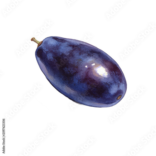 Fotografie A single oval purple grape, smooth and glistening under soft light, presented in an isolated view to highlight its natural beauty