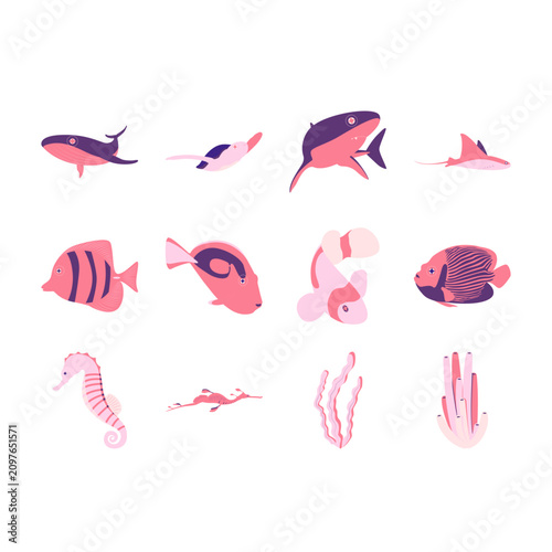 Photography Underwater sea animals clipart collection 28, vector flat illustration set of fi