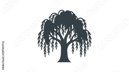 Fotografie Dark gray willow tree silhouette icon.