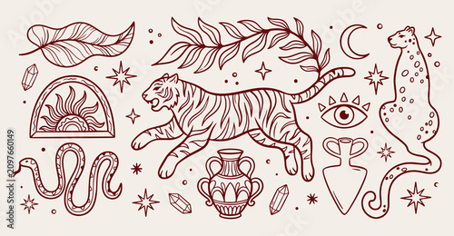 Photography Wild tiger animal doodle pattern, jungle nature line art, safari wildlife sketch