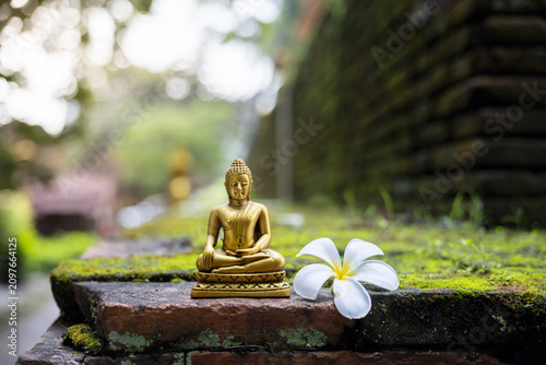 Fotografie Golden buddha statue meditation plumeria flower mossy brick temple garden serene