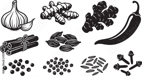 Set of black and white hand drawn spices and herbs for cooking and food design