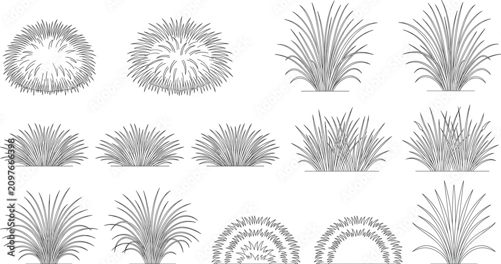 Obraz premium Ornamental Grass and Decorative Foliage Outline Collection for Landscape Architecture, Garden Design and Vector Illustration