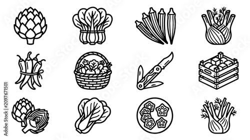Foto Healthy Vegetable Icons Set: Artichoke, Bok Choy, Okra, Fennel, Chili, Basket, K