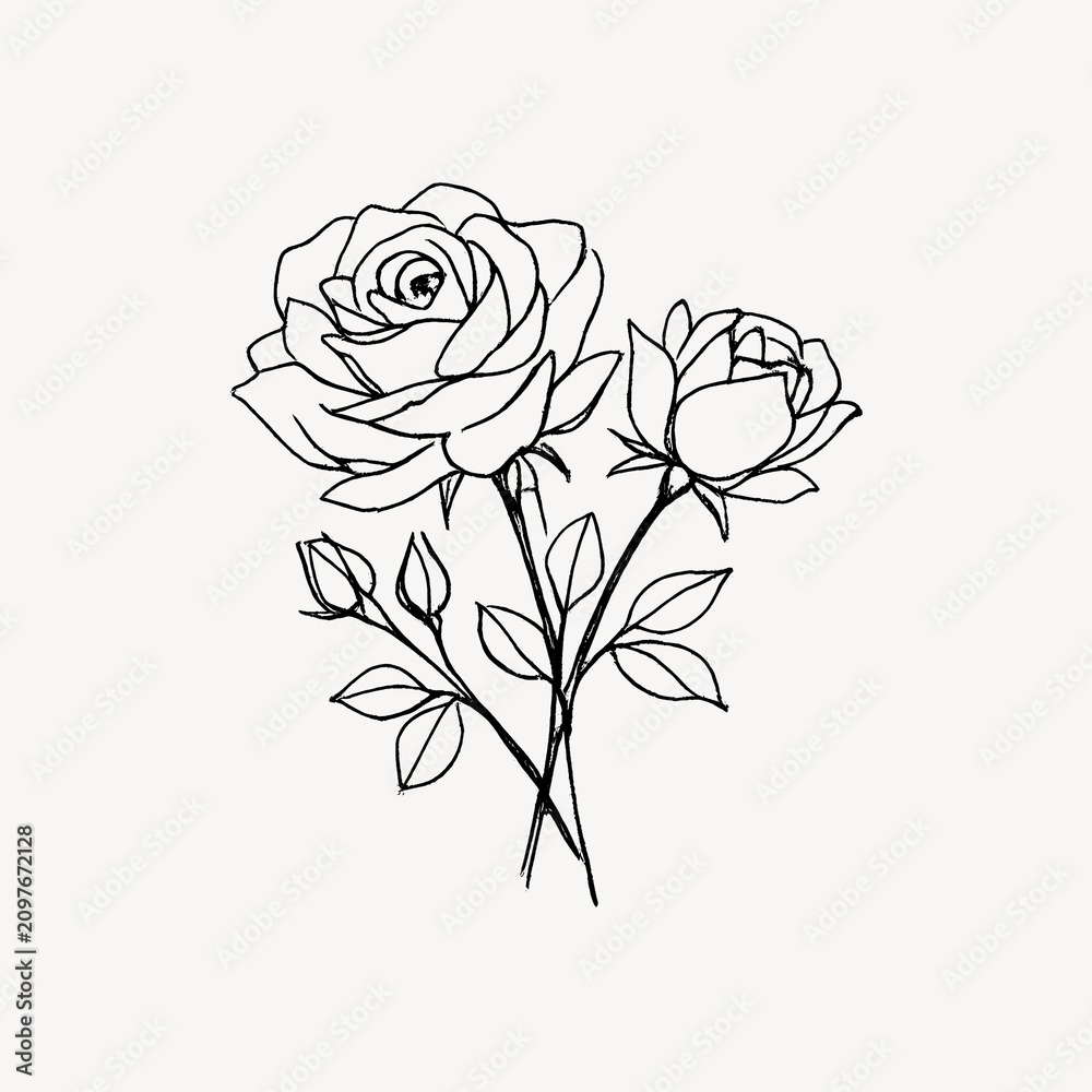Obraz premium Elegant sketch of blooming roses.