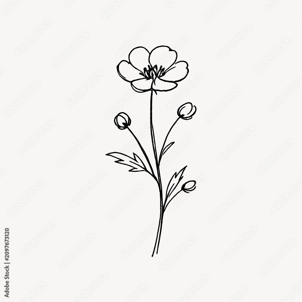 Obraz premium Minimalist line drawing of a delicate flower with buds and leaves.