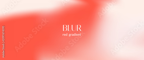 Cuadro en lienzo Red and smooth gradient with white rose gradation for beauty poster