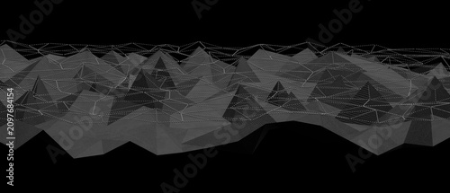 Monochromatic wireframe lan...