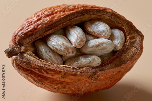 Ripe Cacao Pod Split Open White Cocoa Beans Cross Section Macro Vertical