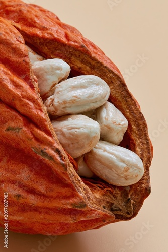 Fresh White Cocoa Beans Pile Close Up Creamy Texture Studio Macro Vertical