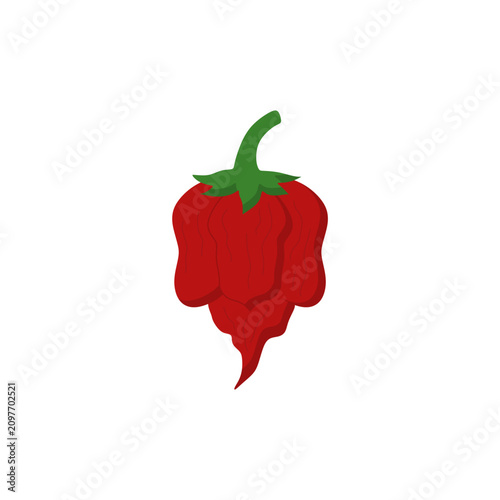 Carolina Reaper chili pepper, isolated on white background. Carolina Reaper Chilli Pepper Vector Illustration. Capsicum chinense. Superhot or extremely hot chile pepper. Chili pepper. Vegetables.