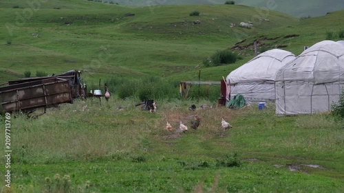 Traditional yurts and free range chickens on a green pasture with hills background. Commercial travel footage for nomadic lifestyle, rural ecotourism, copy space, and sustainability concepts.