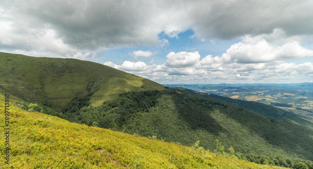 Obraz premium Sunny Summer View of Borzhava Valley in the Carpathians