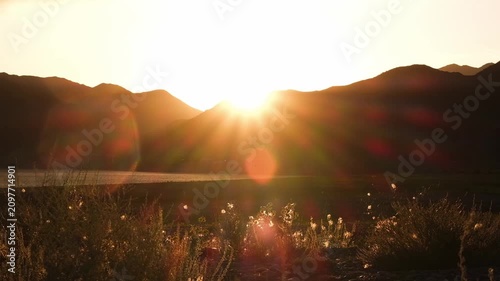 Golden hour mountain landscape background with wind blowing through wild grass at sunset. Scenic nature video concept for travel, lifestyle, sustainability and mindfulness commercial projects with cop