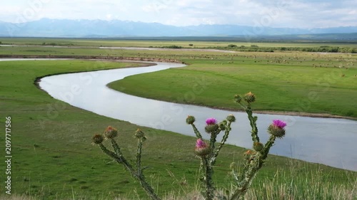 Winding Kegen River in rural valley of Kazakhstan. Natural green landscape with copy space for travel, eco-tourism, sustainability concepts, editorial use or corporate background.