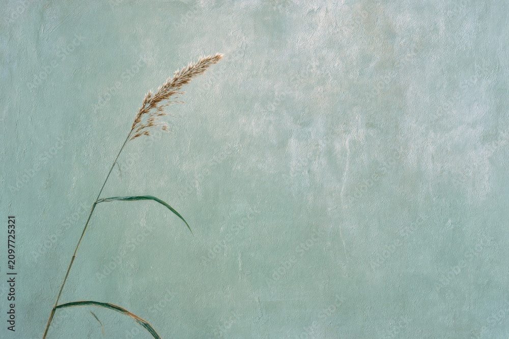 Obraz premium Minimalist grass against textured green wall