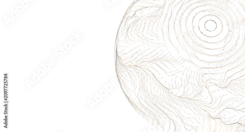 Intricate swirling lines fo...