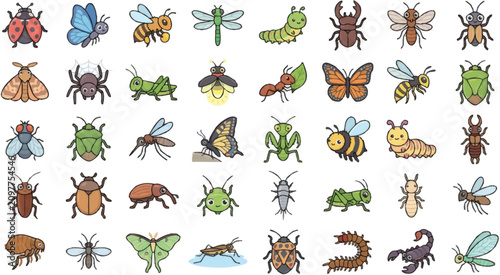 Insects and bugs on white background.
