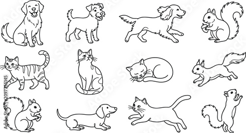 Photography Domestic pets and wild forest animals line art drawing icons set with dogs cats