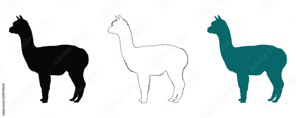 Fototapeta premium Llama silhouettes black outline teal vector graphics for design projects