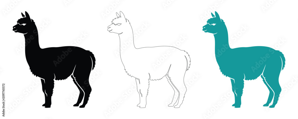Fototapeta premium Llama silhouettes black outline and teal variations for graphic design projects