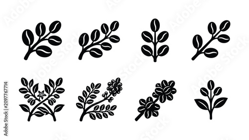 Fotografía Black and White Botanical Branch Illustrations with Various Leaf Designs on Tran