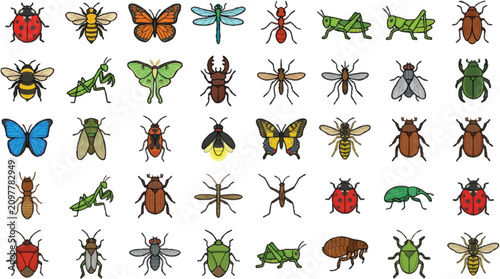 Bild auf Leinwand Insects and bugs on white background.