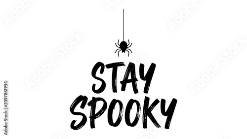 Photos Stay Spooky Halloween Graphic: A black spider dangles above bold, hand-drawn text that reads STAY SPOOKY in a stylish, grunge font, evoking a classic Halloween vibe