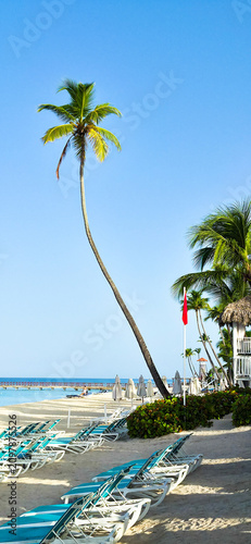 Dominicus beach, white sand, sun beds and palms in early morning. Dominican republic 