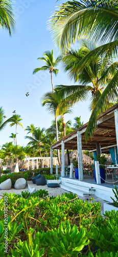 Cafe on Dominicus beach, white sand, sun beds and palms in early morning. Dominican republic 