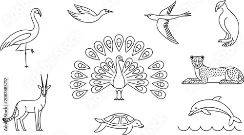 Photography Exotic Wild Animals and Birds Minimalist Line Icon Collection Featuring Peacock